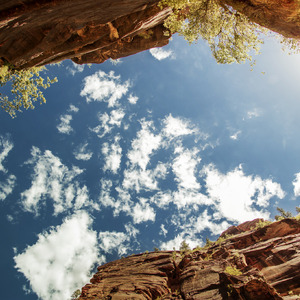av大片手机免费观看地址

